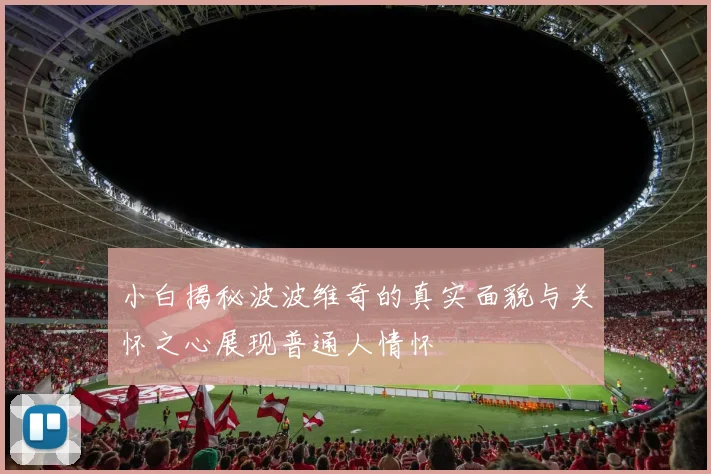 小白揭秘波波维奇的真实面貌与关怀之心展现普通人情怀